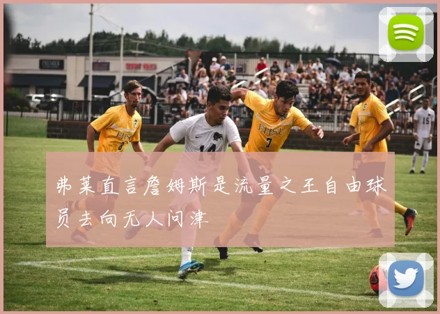 弗莱直言詹姆斯是流量之王自由球员去向无人问津